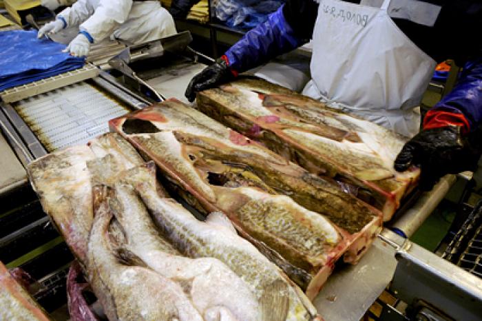 В Китае впервые обнаружили живой коронавирус на замороженных продуктах