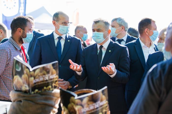 В MOLDAGROTECH и FARMER-2020 принимают участие около 50 компаний из Молдовы, Румынии и Украины