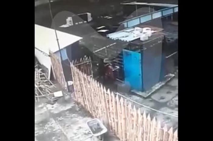 Яростное нападение медведя на россиянку в частном зоопарке попало на видео