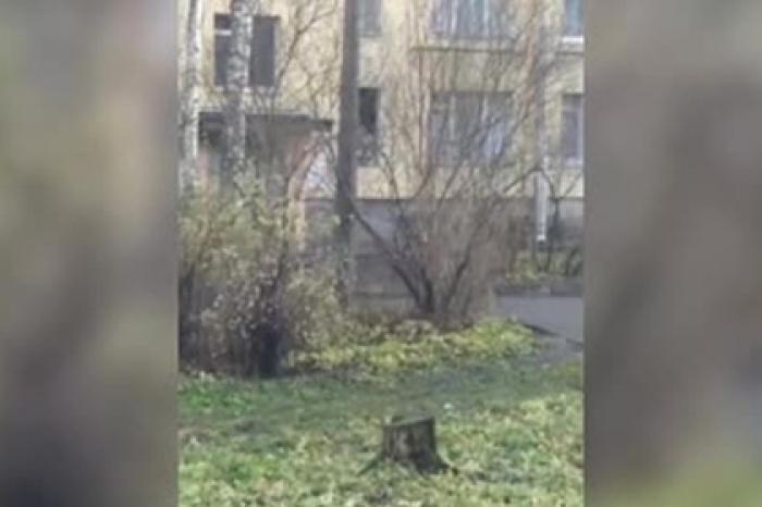 Появилось видео с места захвата детей в заложники в Петербурге