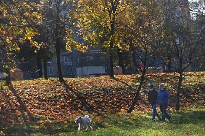 Россияне перечислили главные признаки качественной жизни