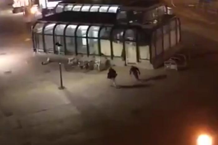 Стрельба у синагоги в Вене попала на видео