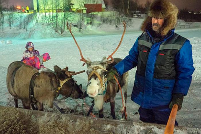 Для мурманских оленеводов разработали новые меры поддержки
