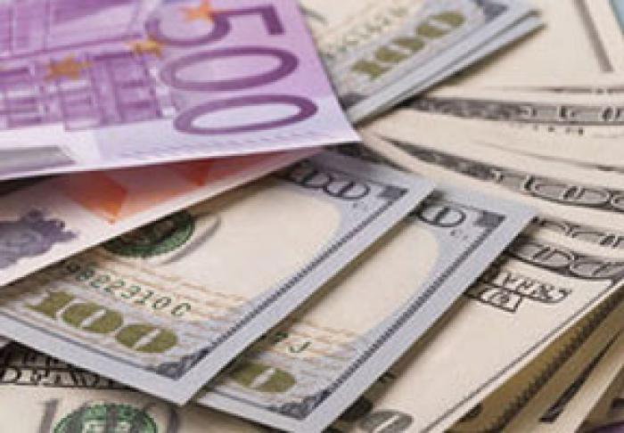 OFERTA DE SCHIMB VALUTAR ÎN NOIEMBRIE A ACOPERIT CEREREA PENTRU EL CU 113,7%