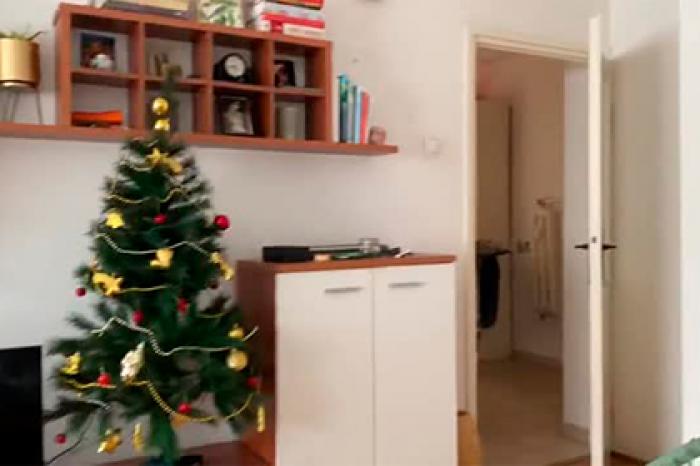 Землетрясение в Загребе сняли на видео