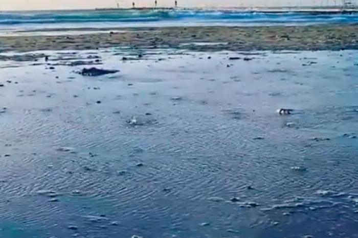 «Кипящая» у берега Черного моря вода попала на видео и вызвала споры среди россиян