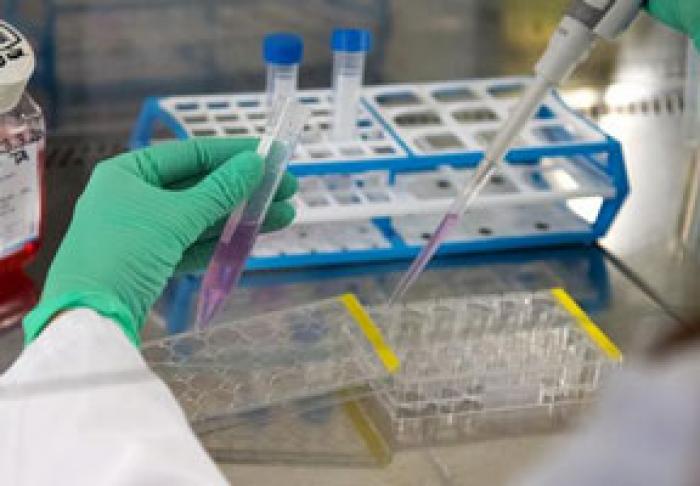 MARŢI ÎN MOLDOVA AU FOST ÎNREGISTRATE MAI MULT DE O MIE DE CAZURI INFECŢII PRIN CORONAVIRUS