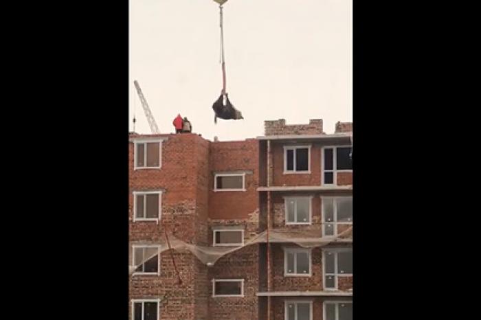 Живую корову в Казахстане подвесили на кране и подняли на крышу многоэтажки