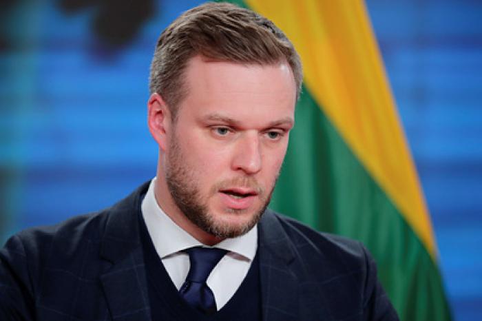 Литва предложит НАТО предоставить Украине план действий по членству