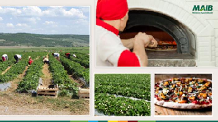 PROIECTUL DE SUPORT ÎN AFACERI PE TIMP DE PANDEMIE, EXTREM DE SOLICITAT DE CLIENȚII MOLDOVA AGROINDBANK
