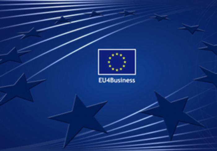 EU4DIGITAL A PUBLICAT LINIILE DIRECTOARE PENTRU CONSTRUIREA ECOSISTEMELOR ANTREPRENORIALE ÎN ȚĂRILE PE