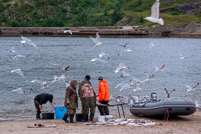 Госдума одобрила распространение «Дальневосточного гектара» на Арктику