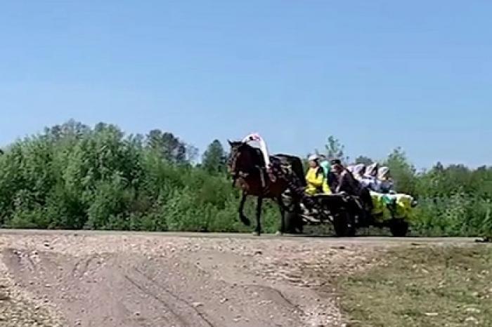В российском селе автомобиль врезался в повозку с лошадью и попал на видео