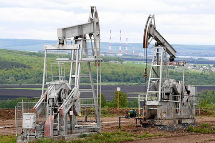 Оценена возможность появления «грязной» нефти в «Дружбе»