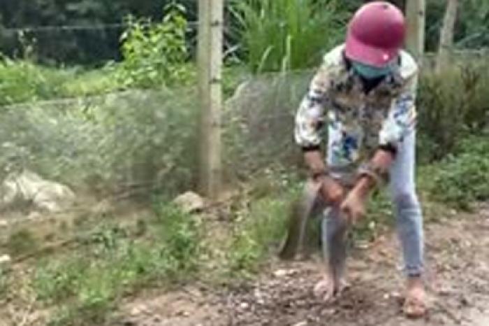 Женщина поймала огромную змею голыми руками и попала на видео