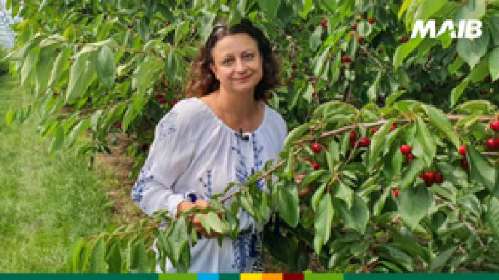 NOUTATE BUNĂ PENTRU ANTREPRENOARE: FINANȚARE CU GRANT PÂNĂ LA 80% ÎN AGRICULTURĂ ȘI AGROTURISM