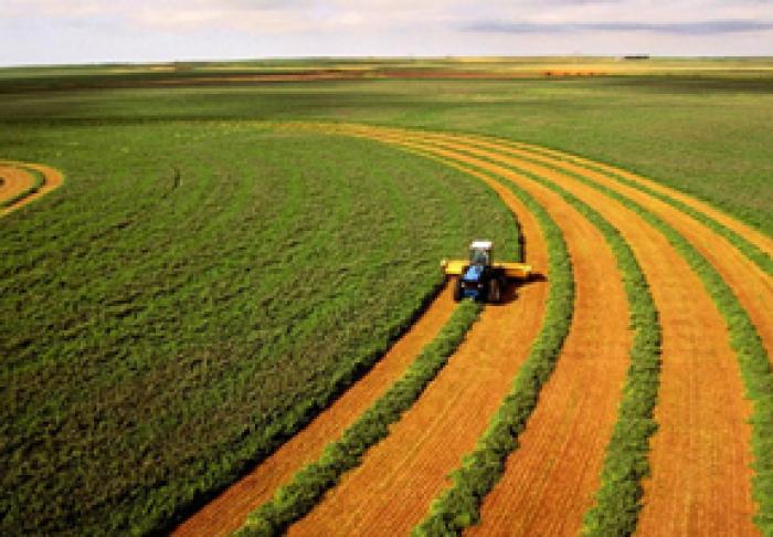 PRODUCȚIA AGRICOLĂ ÎN MOLDOVA A SPORIT CU 20,5%