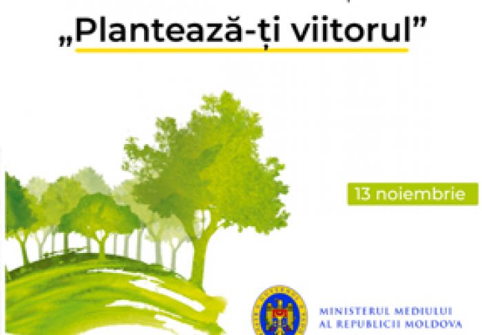 MINISTERUL MEDIULUI LANSEAZĂ CAMPANIA ANUALĂ NAȚIONALĂ DE ÎNVERZIRE A PLAIULUI „PLANTEAZĂ-ȚI VIITORUL”