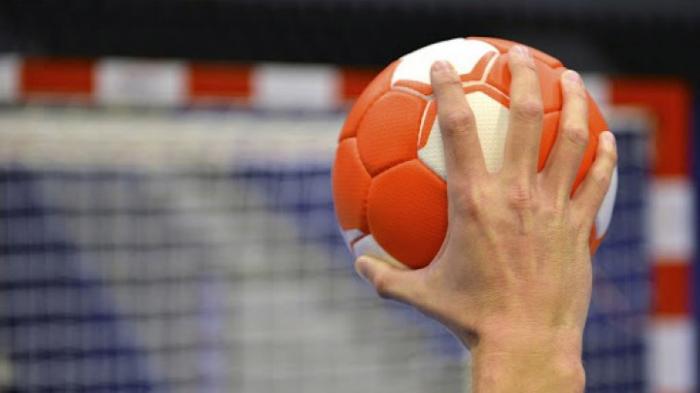 Сборная Франции вышла в полуфинал чемпионата Европы по гандболу среди мужчин