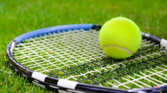 Теннис: Даниэль Коллинз сыграет в финале Australian Open