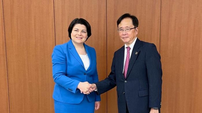 Potențialul de cooperare economică moldo-niponă, discutat de prim-ministra Natalia Gavrilița cu Yoshio Sato, președinte al KeidanrenEuropa