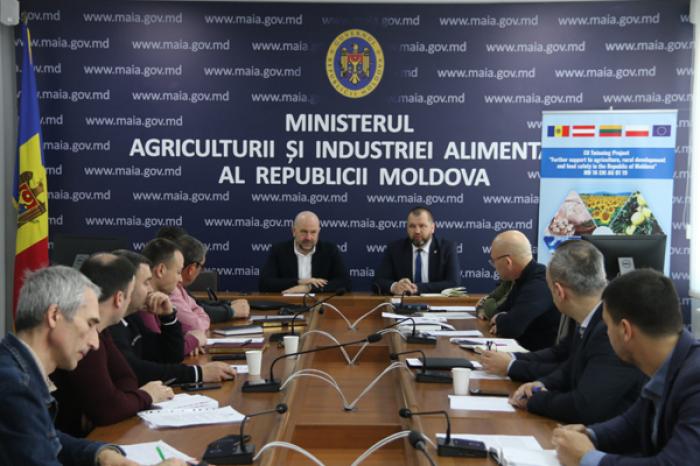 В МОЛДОВЕ РАССЧИТЫВАЮТ ВОЗРОДИТЬ ТАБАКОВОДСТВО