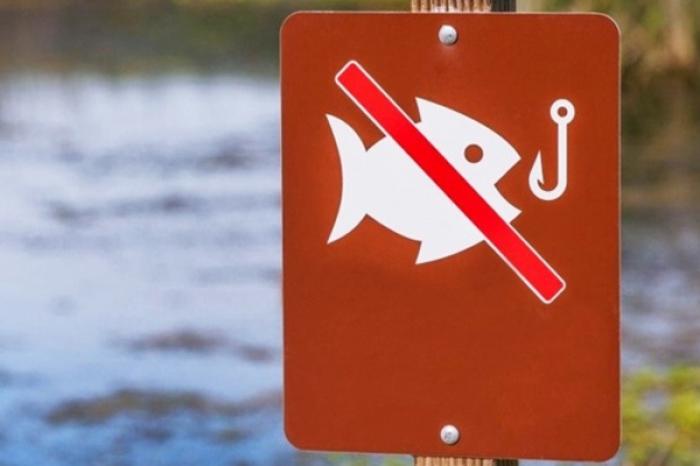 С ПОНЕДЕЛЬНИКА В МОЛДОВЕ ВВОДИТСЯ ЗАПРЕТ НА РЫБНУЮ ЛОВЛЮ