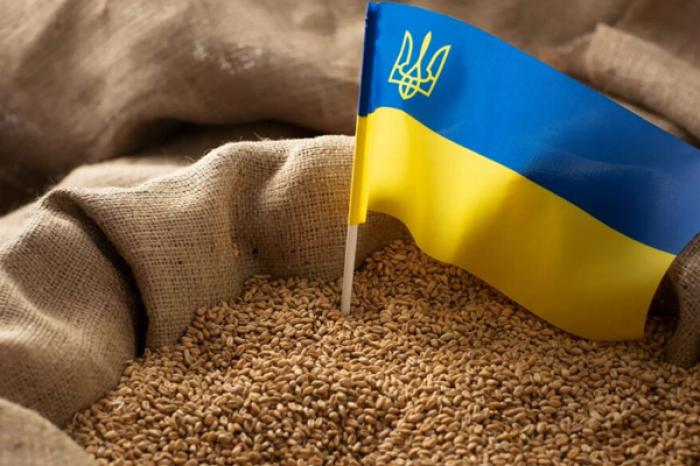 Украина и Польша договорились о возобновлении транзита зерна