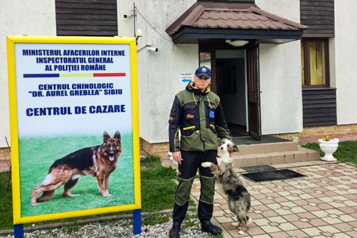 ​В ПОГРАНИЧНОЙ ПОЛИЦИИ ПРИСТУПИЛИ К СЛУЖБЕ ТРИ СОБАКИ, ОБУЧЕННЫЕ В ПОИСКЕ ВЗРЫВЧАТКИ
