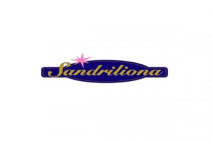 ​БРЕНД МОЛДАВСКОГО МОРОЖЕНОГО SANDRILIONA ВЫШЕЛ НА РЫНКЕ ИРАКА НА ПЕРВЫЕ ПОЗИЦИИ