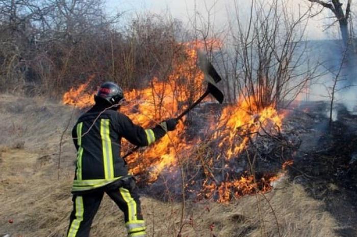 ​ПОЖАРЫ УНИЧТОЖИЛИ В МИНУВШИЕ ВЫХОДНЫЕ 540 ГЕКТАРОВ СУХОСТОЯ