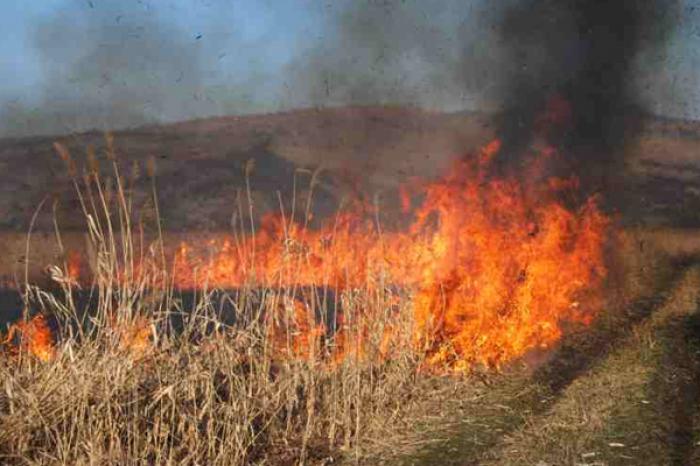 AMENZI PENTRU INCENDIEREA VEGETAŢIEI USCATE: DOAR ÎN ULTIMA SĂPTĂMÂNĂ AU FOST AMENDAŢI 9 OAMENI