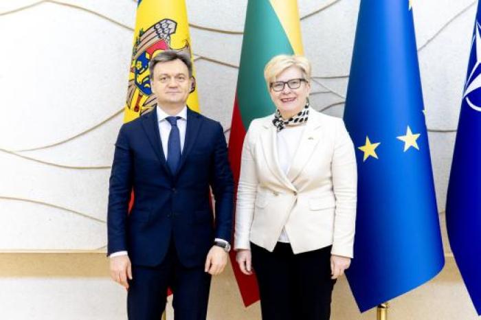 Молдавский премьер встретился с литовским коллегой