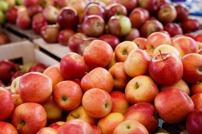 РОССЕЛЬХОЗНАДЗОР РАЗРЕШИЛ ВВОЗ В РОССИЮ ПЛОДООВОЩНОЙ ПРОДУКЦИИ ИЗ ГАГАУЗИИ