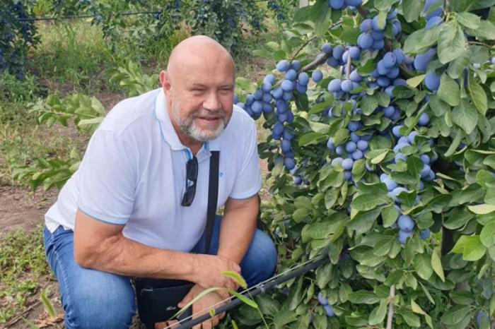 IMPORTATORUL POLONEZ DAPOL INTENŢIONEAZĂ SĂ DUBLEZE VOLUMUL DE FRUCTE ACHIZIŢIONATE ÎN MOLDOVA