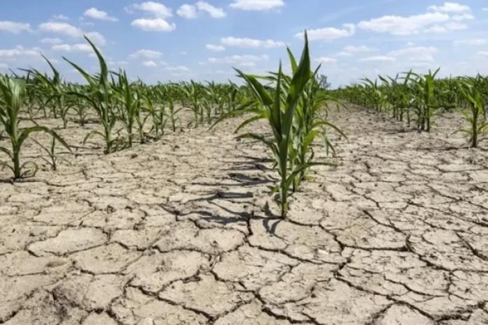 PARLAMENTUL PRELUNGEȘTE MORATORIUL ASUPRA PLĂȚII DATORIILOR PENTRU AGRICULTORII AFECTAȚI DE SECETĂ