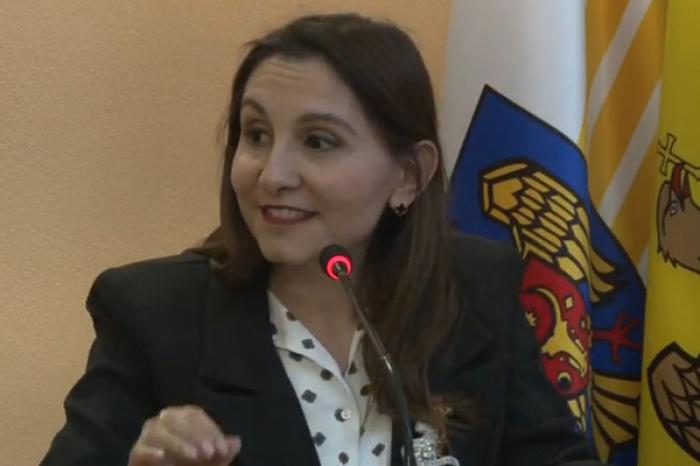 СОВЕТНИК PAS ОБВИНИЛА ПРИМАРА КИШИНЕВА В НЕВНИМАНИИ К ЖИВОТНЫМ И «ОТСУТСТВИИ ПРОЗРАЧНОСТИ»
