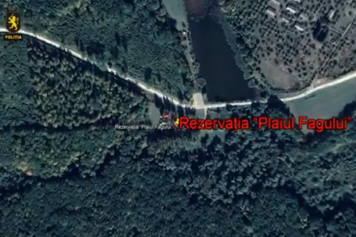 ЧЕТВЕРО ЛЕСНИКОВ PLAIUL FAGULUI ЗАДЕРЖАНЫ ЗА БРАКОНЬЕРСКУЮ ОХОТУ