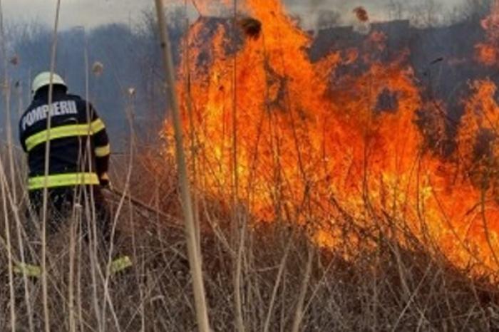 ÎN ULTIMELE 24 DE ORE, SALVATORII S-AU DEPLASAT DE 71 DE ORI PENTRU STINGEREA INCENDIILOR