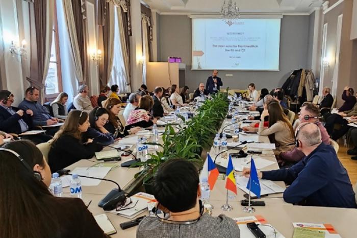 ​ЧЕХИЯ ПОМОГАЕТ МОЛДОВЕ НАРАЩИВАТЬ ЭКСПОРТ В ЕВРОСОЮЗ