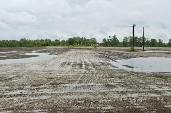 Из-за ливней в Латвии до ноября объявлена чрезвычайная ситуация в сельском хозяйстве