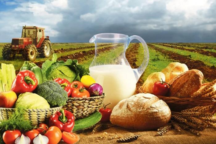 PRODUCȚIA AGRICOLĂ A SCĂZUT CU 5,8% ÎN PRIMA JUMĂTATE A ANULUI 2025%