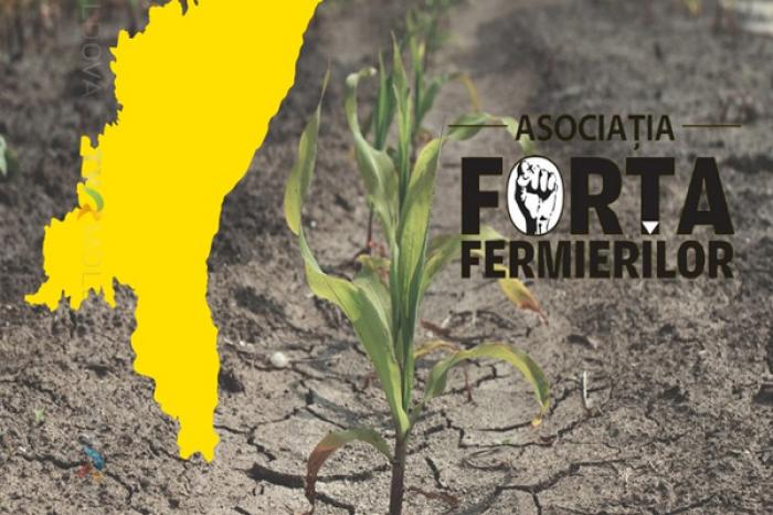 АССОЦИАЦИЯ «СИЛА ФЕРМЕРОВ» ПРИЗЫВАЕТ ВЛАСТИ РАССМАТРИВАТЬ СЕЛЬСКОЕ ХОЗЯЙСТВО КАК НАЦИОНАЛЬНЫЙ ПРИОРИТЕТ
