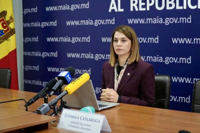 МИНИСТР СЕЛЬСКОГО ХОЗЯЙСТВА ПРИЗНАЛА, ЧТО МОЛДАВСКИЕ ПРОИЗВОДИТЕЛИ МОЛОЧНОЙ ПРОДУКЦИИ НЕ ВЫДЕРЖИВАЮТ КОНКУРЕНЦИИ С УКРАИНОЙ