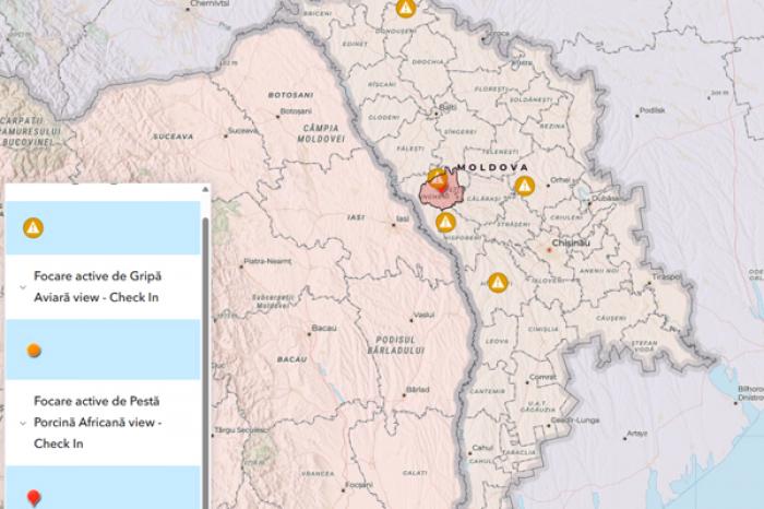 В МОЛДОВЕ – НОВЫЕ ВСПЫШКИ БЕШЕНСТВА И АФРИКАНСКОЙ ЧУМЫ СВИНЕЙ