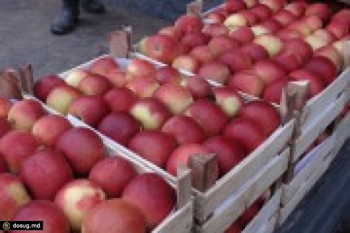 84 тысячи тонн яблок Молдова продала на новых рынках