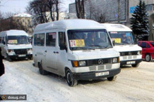 АВТОБУС СБИЛ БАБУШКУ И ВНУКОВ