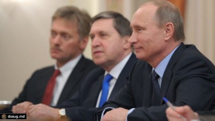 Администрация Путина поручила проверить калининградские домики для котов на законность