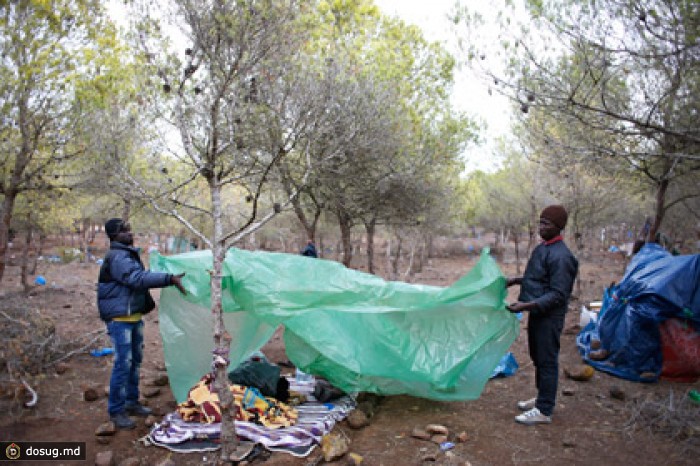 Африканские мигранты прорвали испанскую границу