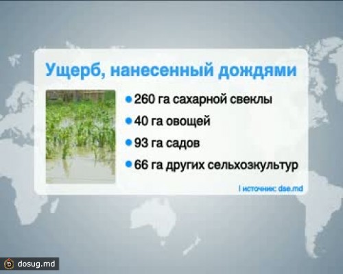 Аграрии снова несут убытки: град уничтожил более 500 га сельхозугодий